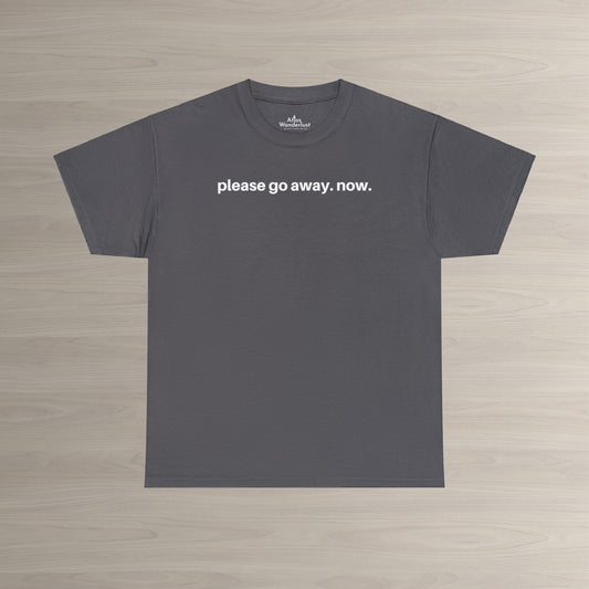 Please go away. now T-Shirt, Sarcasm Tee