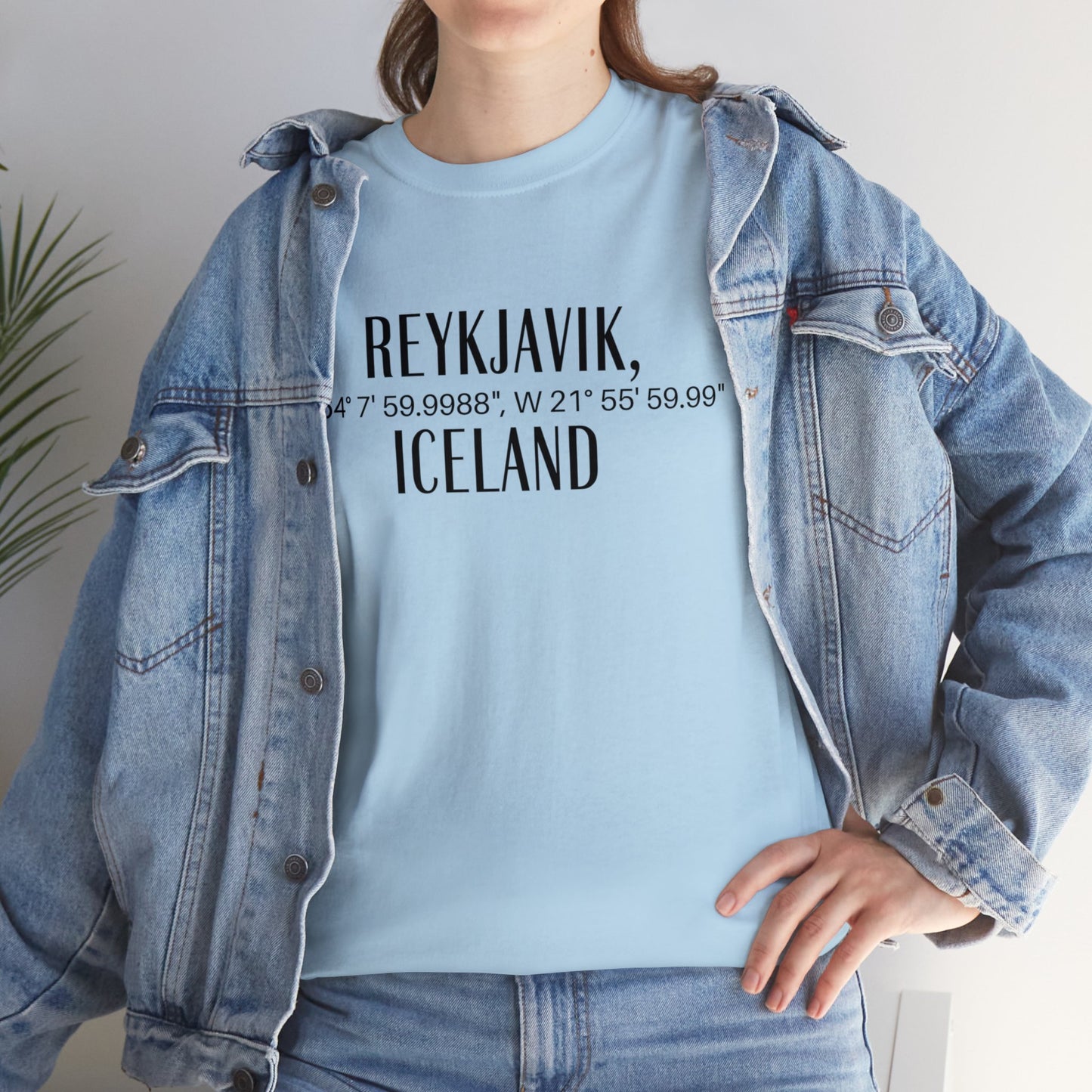Reykjavik Iceland Coordinates T-Shirt, Modern Travel Tee