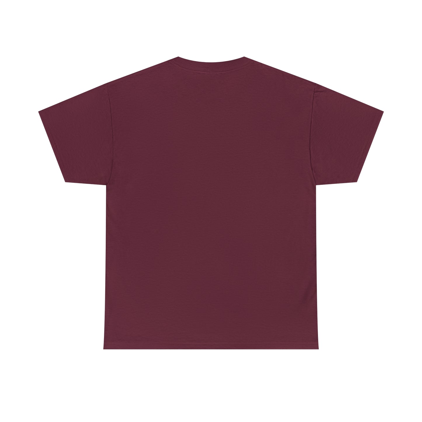 Angels and Airwaves T-Shirt, AVA Tee
