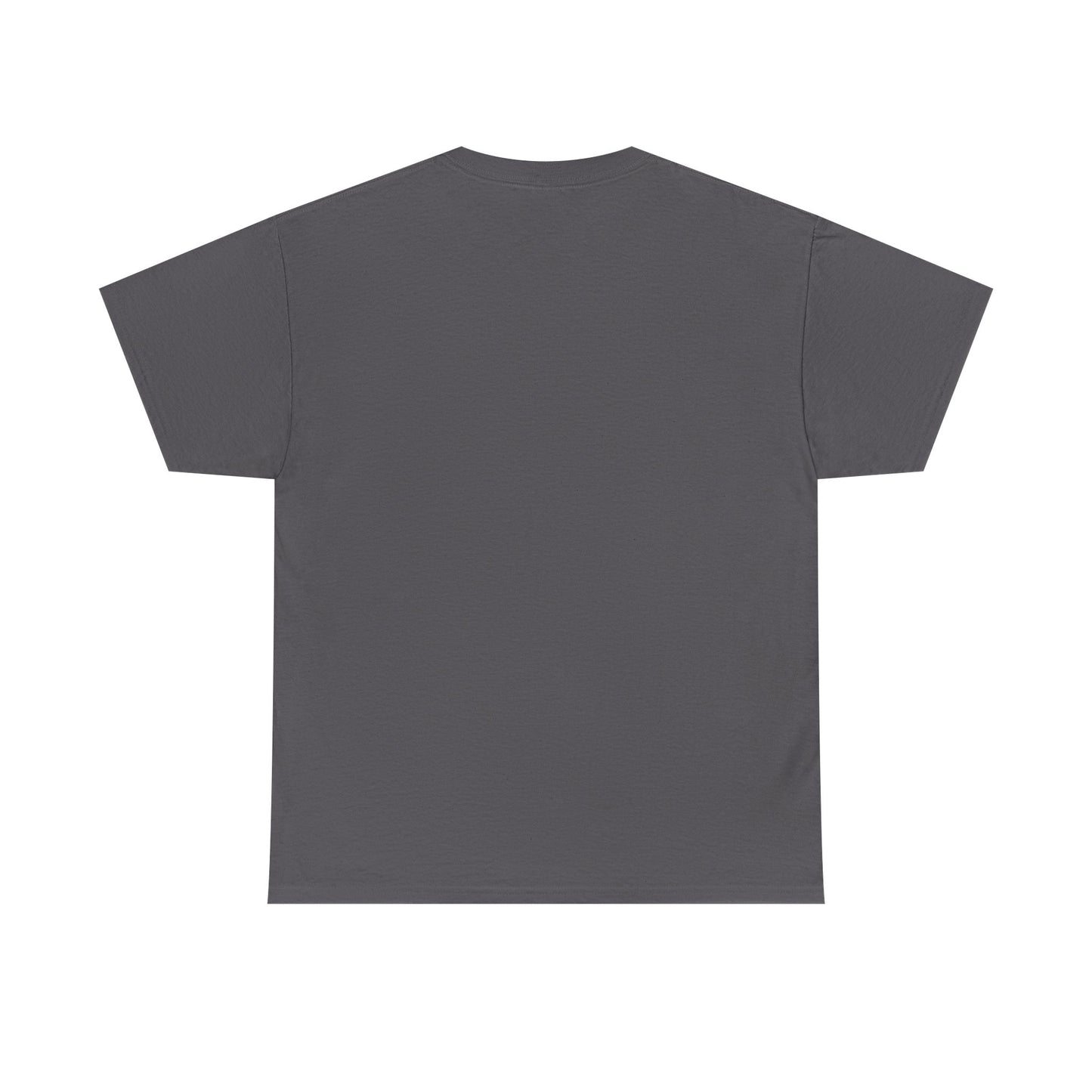 Cemetery T-Shirt, I Brake for Cemeteries Tee