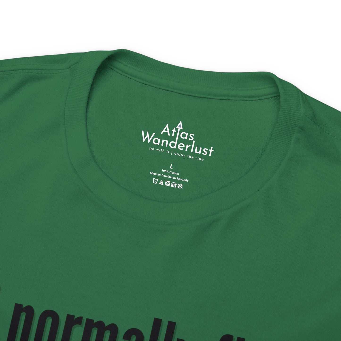 I normally Fly 1st Class T-Shirt, Funny Travel Tee