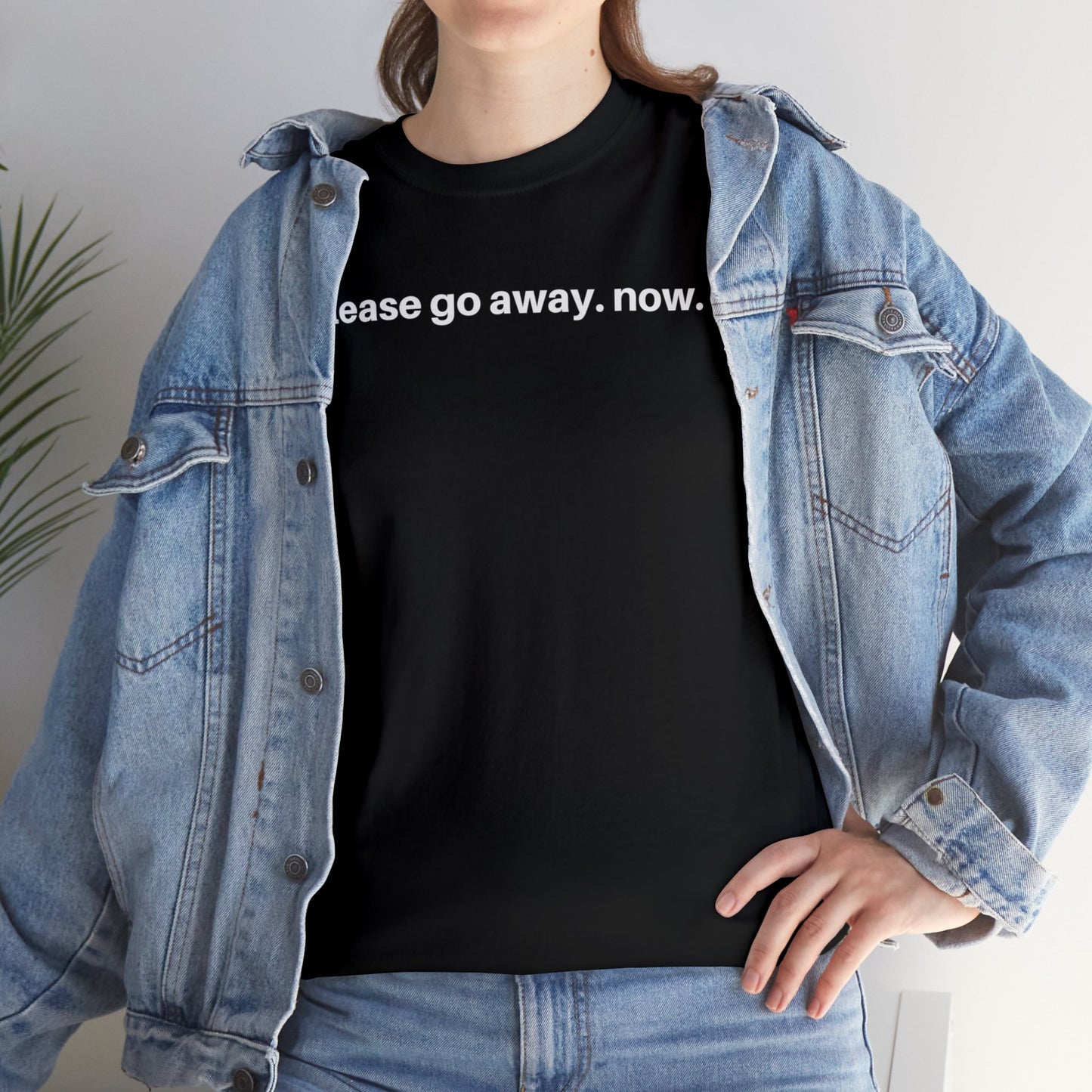 Please go away. now T-Shirt, Sarcasm Tee
