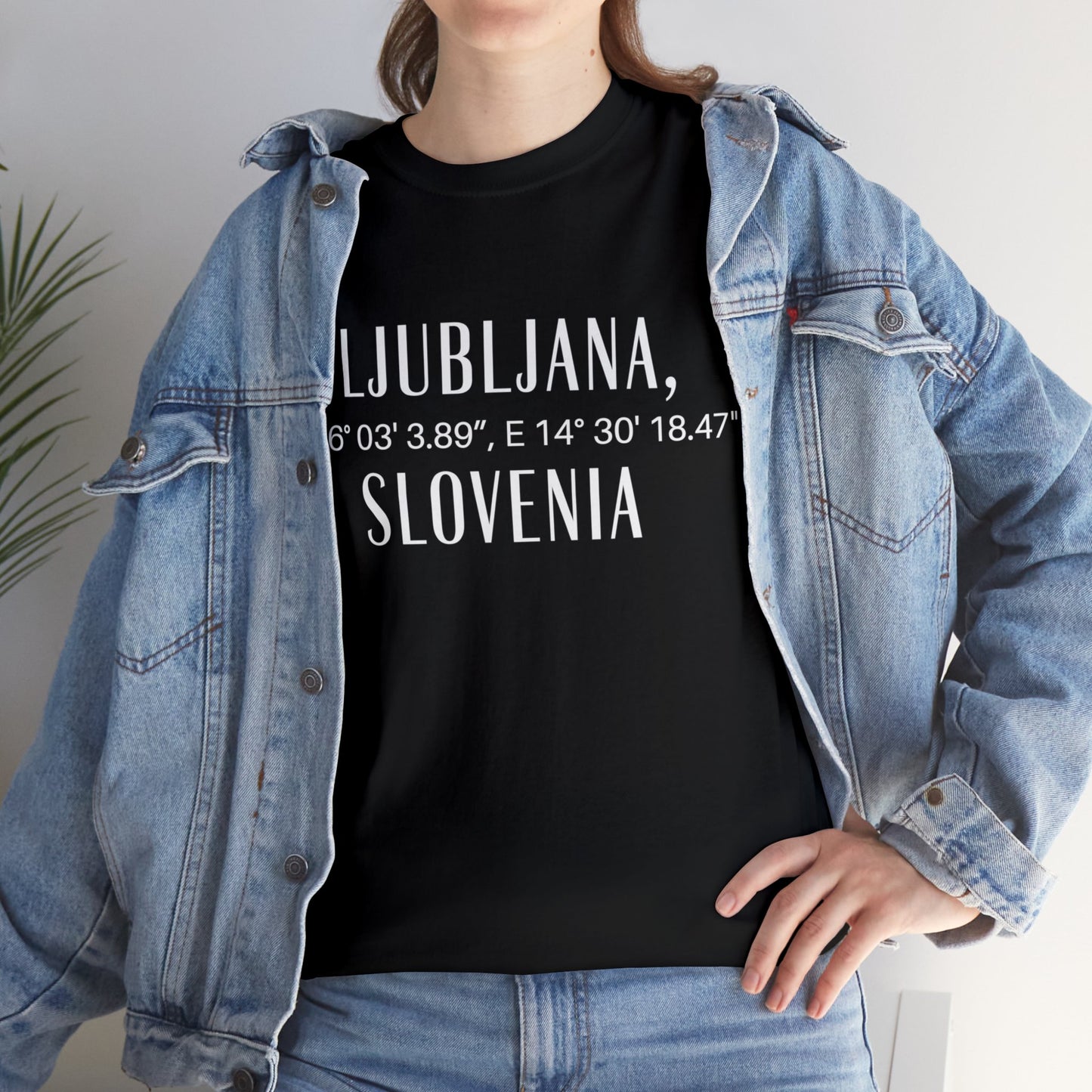 Ljubjana Slovenia Coordinates Tee, Modern Travel Tee