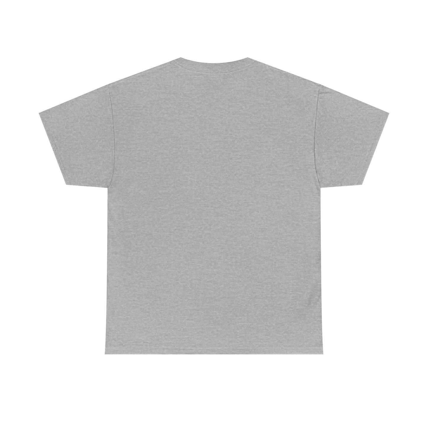 Cemetery T-Shirt, I Brake for Cemeteries Tee