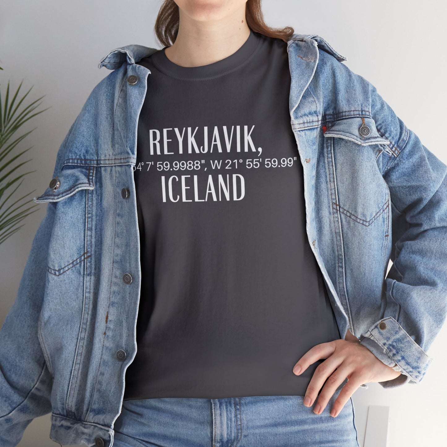Reykjavik Iceland Coordinates T-Shirt, Modern Travel Tee