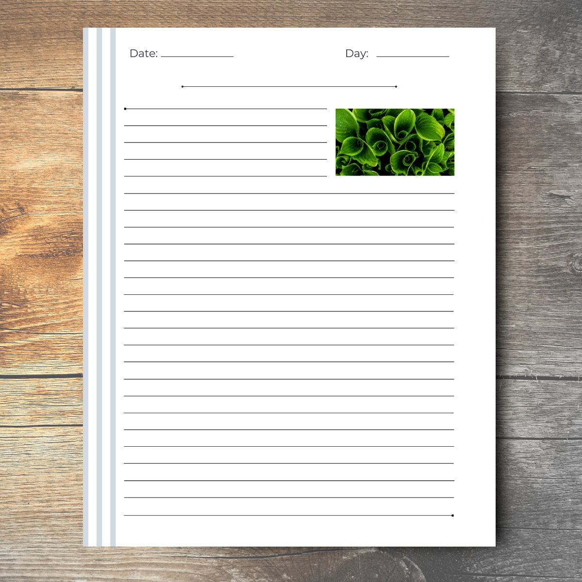 Journal of an Empath: Intuitive / Sensitive / Empathetic