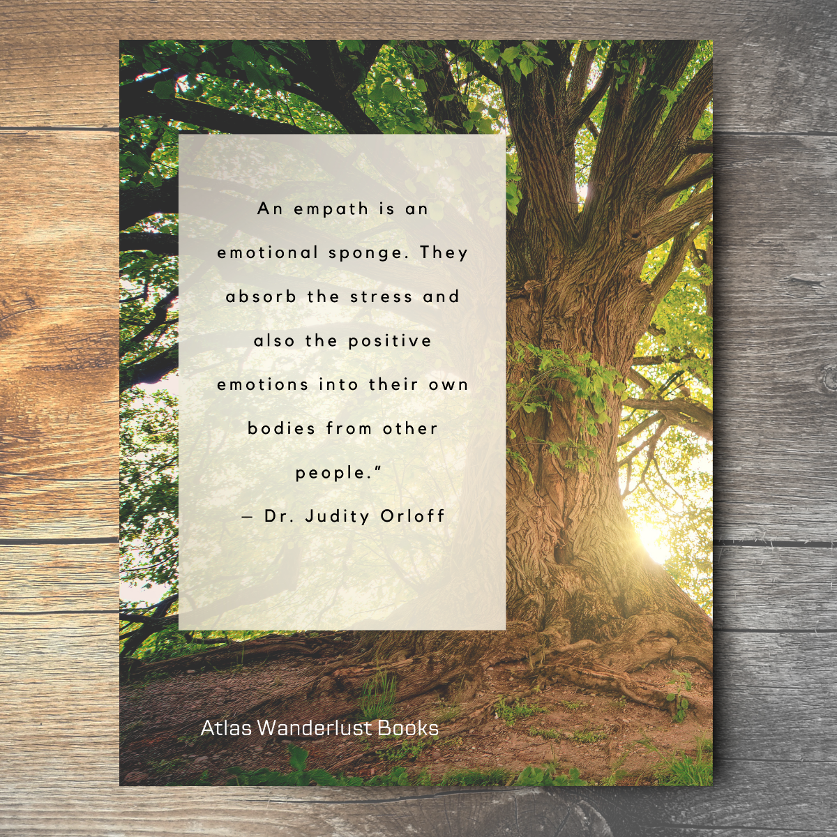 Journal of an Empath: Intuitive / Sensitive / Empathetic