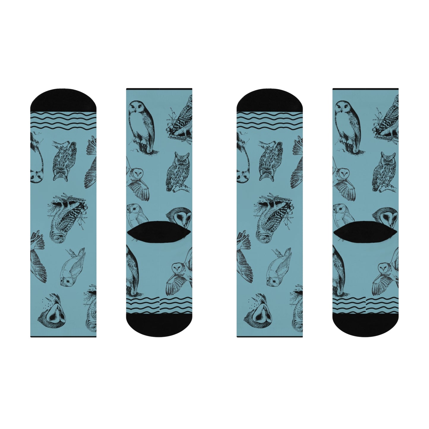 Wise Owl Socks! Owl Sketches