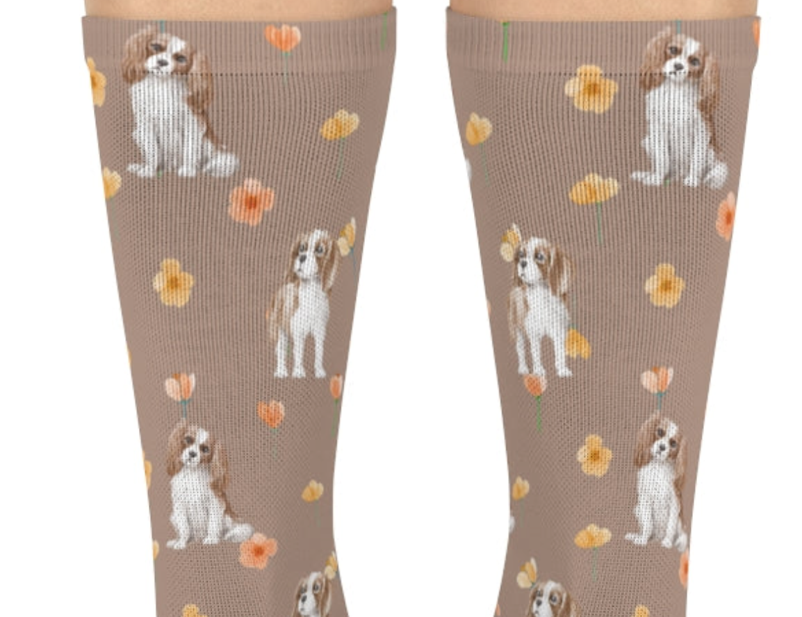 King Charles Cavalier Socks | Charles Spaniel Socks | The Dapper Dogg