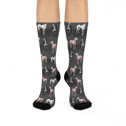 Greyhound Socks, Photoshoot