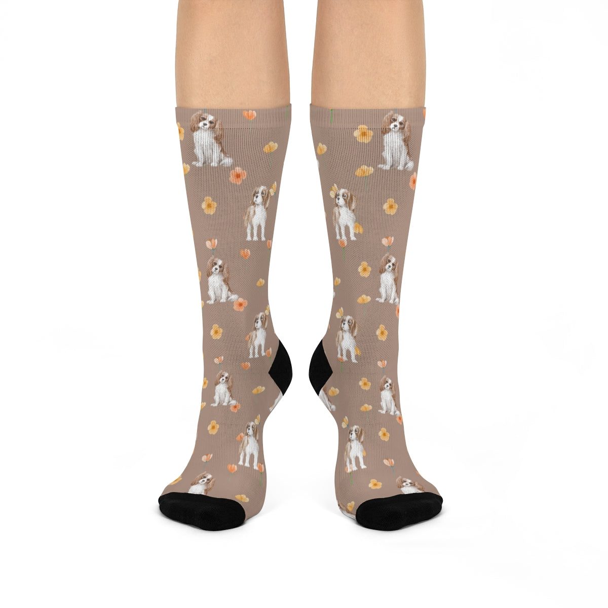 King Charles Cavalier Socks | Charles Spaniel Socks | The Dapper Dogg